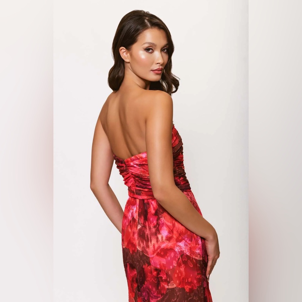 Hutch Julietta Strapless Ruched Maxi Dress - Picture 4 of 10